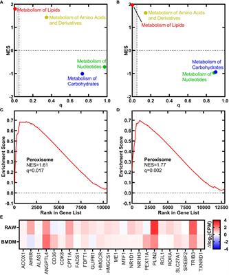 Staphylococcus aureus oleate hydratase produces ligands that activate host PPARα